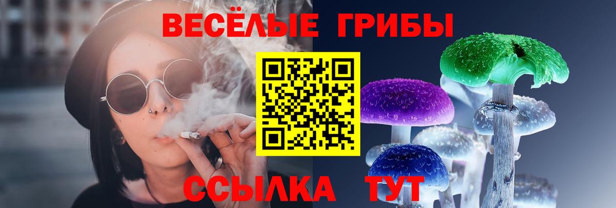 Галлюциногенные грибы Magic Shrooms  Вход с VPN  Мурманск  дарнет шоп  Галлюциногенные грибы Psilocybine cubensis 